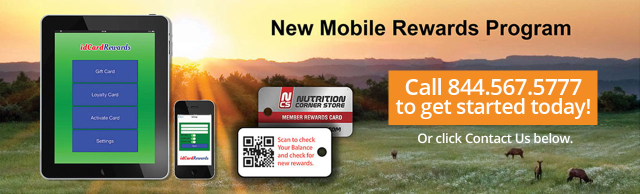 Mobile-flyer-1-rev